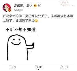 卓伟爆料后续视频播放,揭秘事件真相，视频播放引发热议  第3张