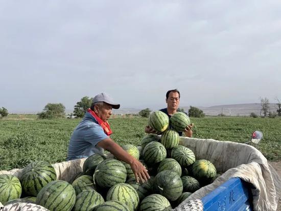 廊坊吃瓜视频最全免费观看,免费观看，一网打尽热门瞬间  第2张